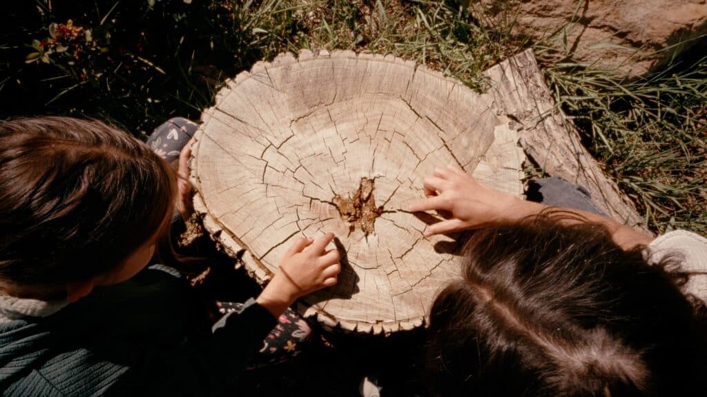 Two people examining tree rings.