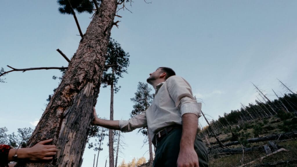 A man touches a fully grown tree that will be turned into lumber.
